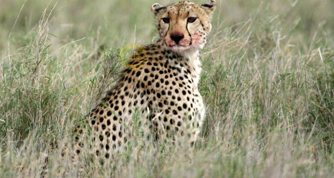 Serengeti National Park
